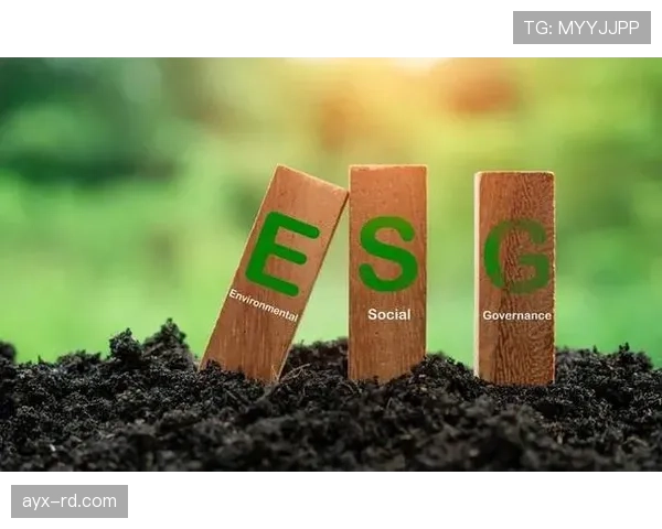 荷兰2026：开启复兴新篇章，引领可持续发展与社会创新浪潮